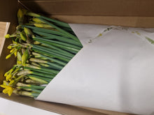 Load image into Gallery viewer, Mother's Day Welsh Daffodils Delivery